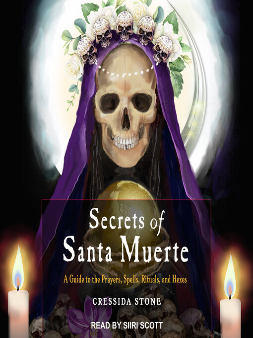 Title details for Secrets of Santa Muerte by Cressida Stone - Available